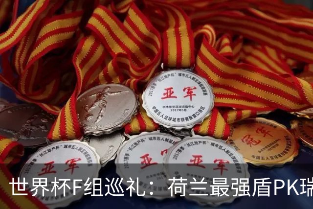 世界杯F组巡礼：荷兰最强盾PK瑞典犀利刀 日本短板明显